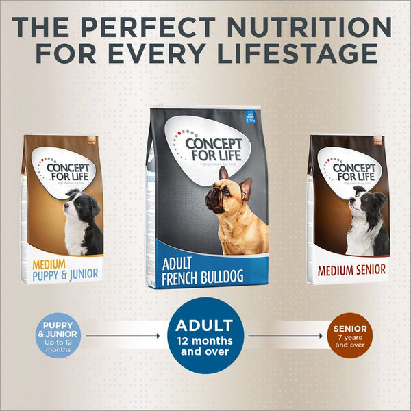 Concept for Life French Bulldog Adult || Concept for Life || view 9