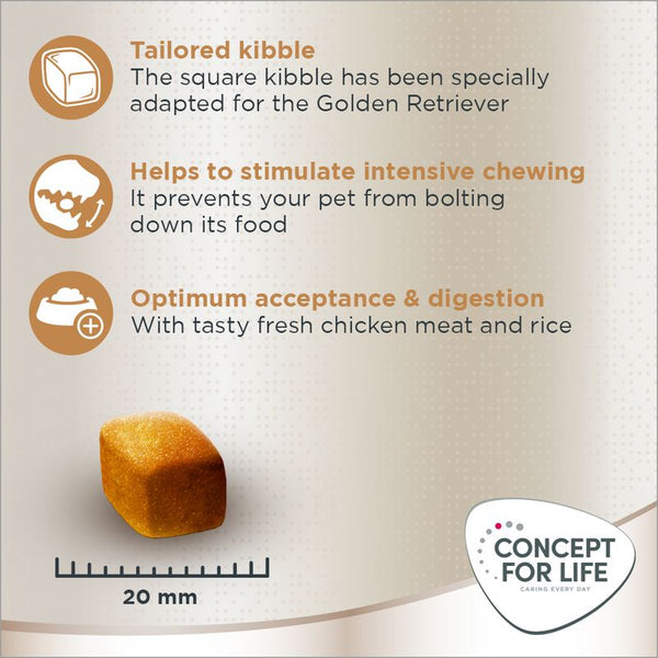 Concept for Life Golden Retriever Adult || Concept for Life || view 5