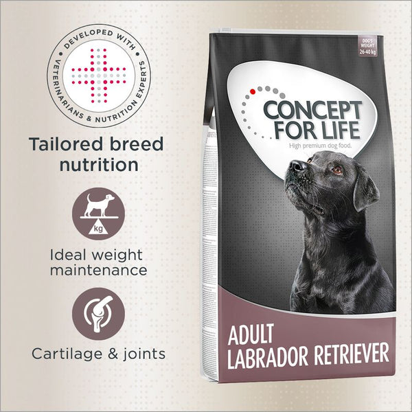 Concept for Life Labrador Retriever Adult || Concept for Life || view 1