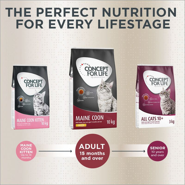 Concept for Life Maine Coon Adult || Concept for Life || view 12