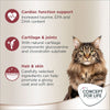 Concept for Life Maine Coon Adult || Concept for Life || view 7
