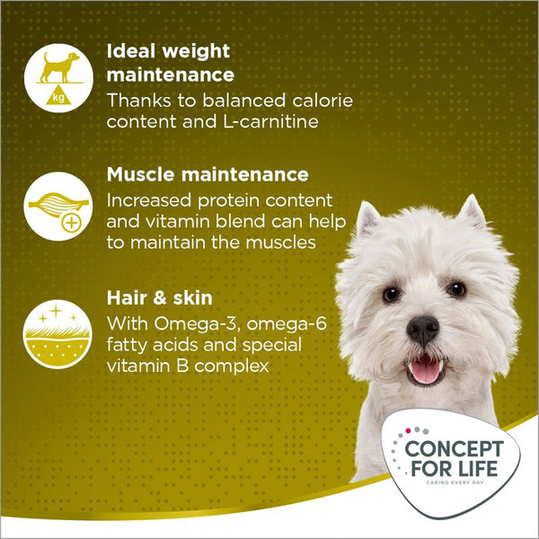 Concept for Life Mini Adult || Concept for Life || view 4