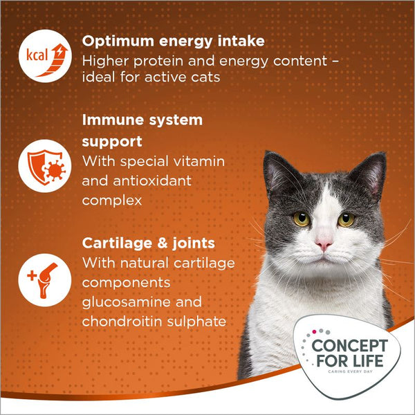 Concept for Life Outdoor Cats || undefined || view 4