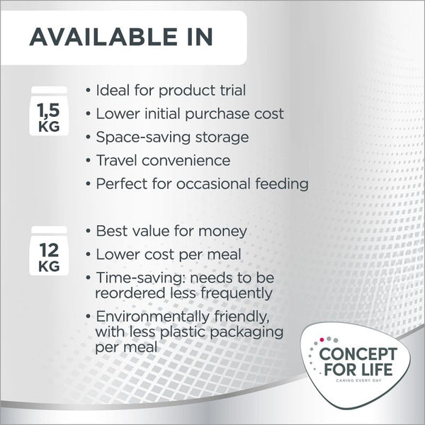 Concept for Life Large Light || Concept for Life || view 9