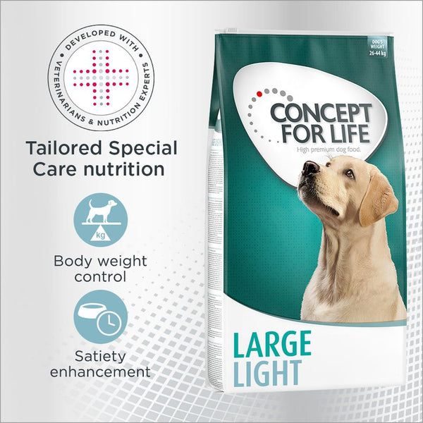 Concept for Life Large Light || Concept for Life || view 1