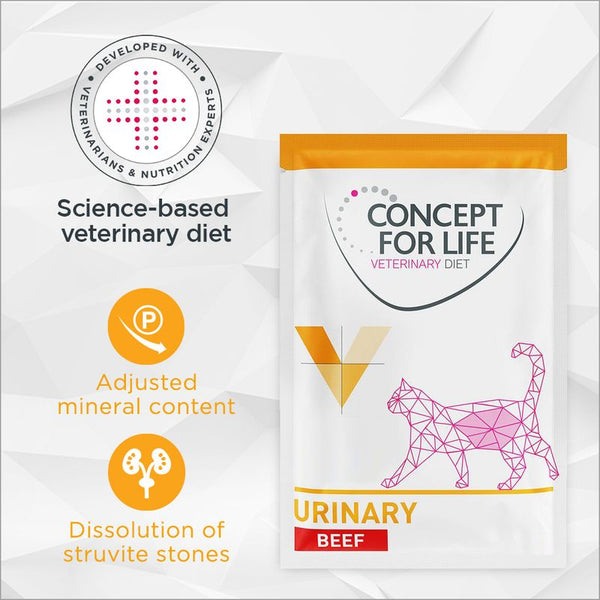 Concept for Life Veterinary Diet Urinary - Beef || undefined || view 1