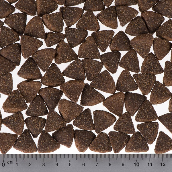 Briantos Adult Active || briantos || view 4