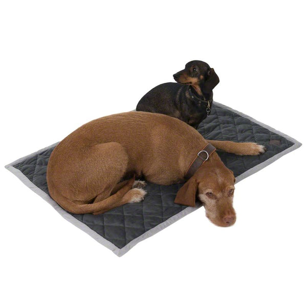 Velvet Snuggle Blanket - Granite Grey || zooplus Exclusive || view 4