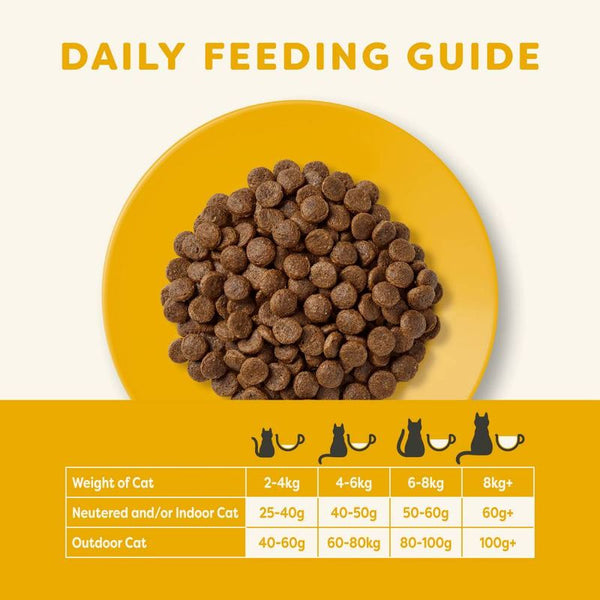 Applaws Adult Chicken & Duck Cat Food || Applaws || view 7