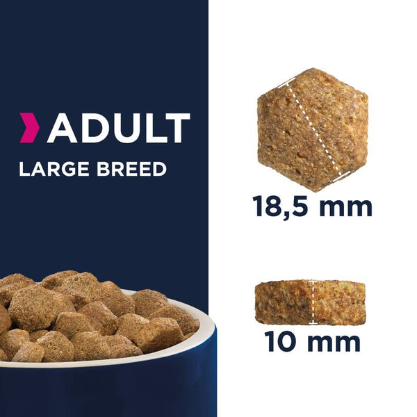 Eukanuba Adult Large Breed - Chicken || Eukanuba || view 4