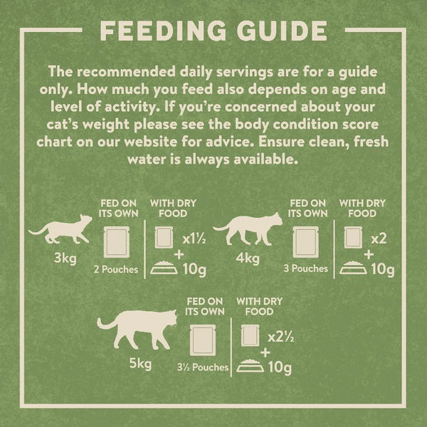 Harringtons Complete Grain-free Adult Cat – Fish Selection in Jelly || Harringtons || view 5