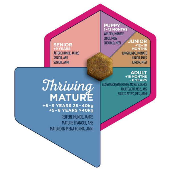 Eukanuba Thriving Mature Large Breed Chicken || Eukanuba || view 5