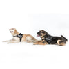 JULIUS-K9® Power Harness - Anthracite || Julius-K9 || view 8