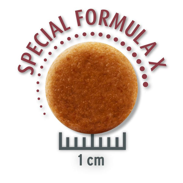 Concept for Life Economy Packs || undefined || view 4