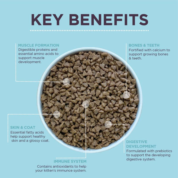 Burgess Kitten with Chicken || Burgess || view 5