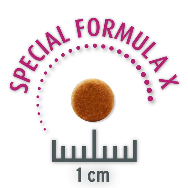 Concept for Life Economy Packs || undefined || view 24