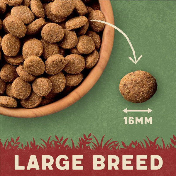 Harringtons Large Breed Adult Dog - Rich in Lamb & Rice || Harringtons || view 5