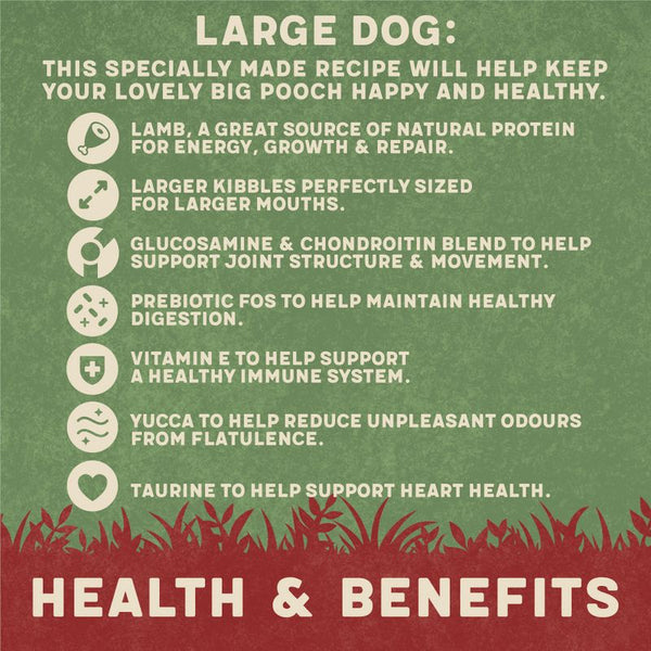 Harringtons Large Breed Adult Dog - Rich in Lamb & Rice || Harringtons || view 3
