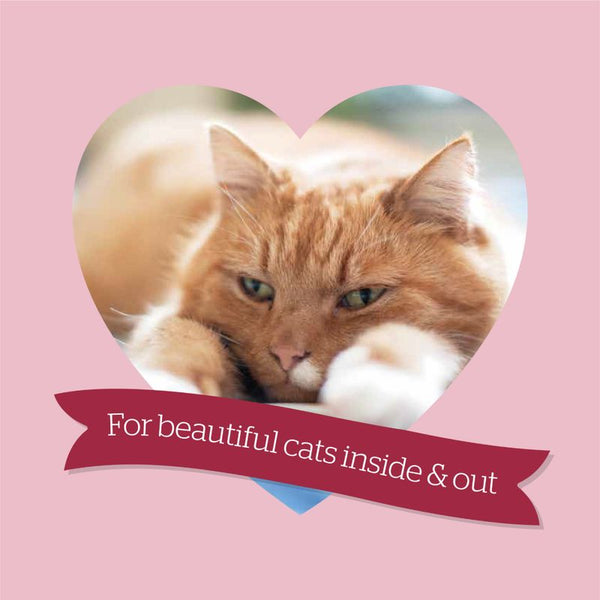 Burgess Mature Cat with Turkey & Cranberry || Burgess || view 8