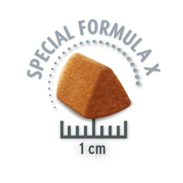 Concept for Life Economy Packs || undefined || view 28