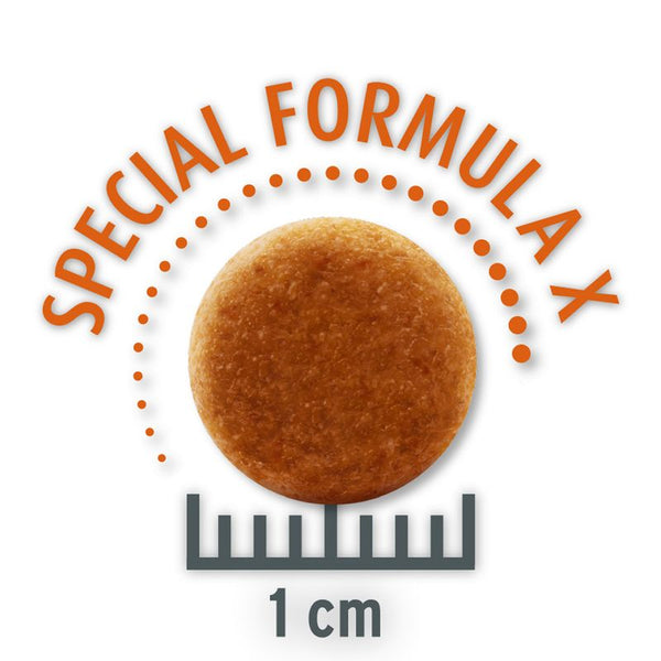 Concept for Life Economy Packs || undefined || view 14