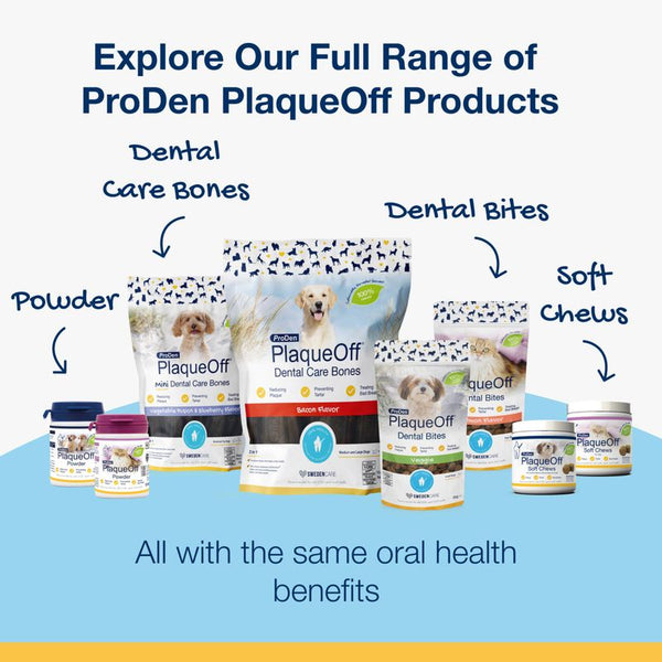 ProDen PlaqueOff Dental Bites || ProDen || view 12