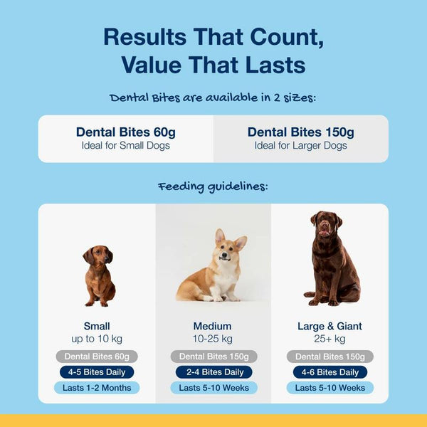 ProDen PlaqueOff Dental Bites || ProDen || view 9