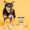 Pooch and Mutt Peanut Butter Dental Sticks 251g || Pooch & Mutt || view 3