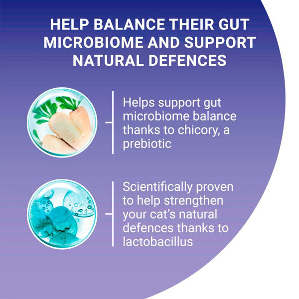 PURINA ONE Coat & Hairball Chicken & Whole Grains Dry Cat Food || Purina One || view 6