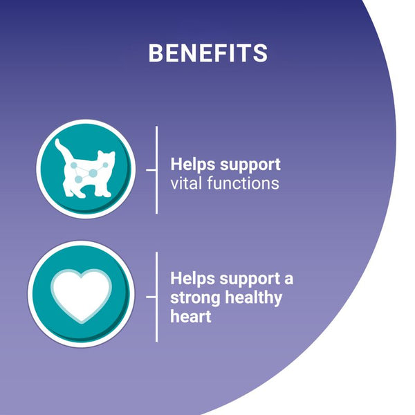 PURINA ONE Senior 7+ || Purina One || view 7