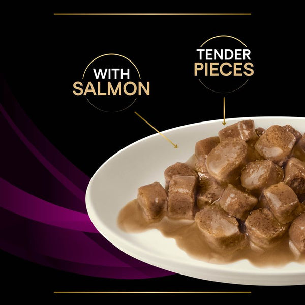 PURINA PRO PLAN Veterinary Diets Feline UR Urinary - Salmon || undefined || view 13