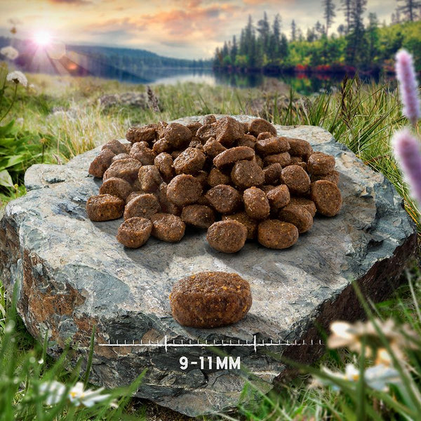 Purizon Grain-Free Dry Cat Food Economy Pack || Purizon || view 5