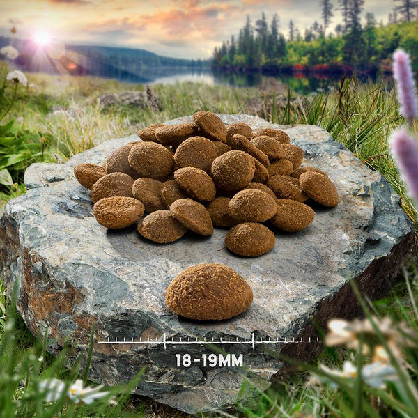 Purizon Grain-Free 80:20:0 Economy Packs 2 x 12kg || Purizon || view 12