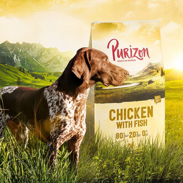 Purizon Original Chicken with Fish Adult – Grain-free || Purizon || view 8
