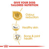 Royal Canin Bulldog Adult || Royal Canin Breed || view 5