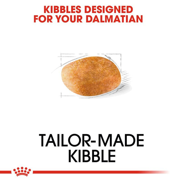 Royal Canin Dalmatian Adult || Royal Canin Breed || view 5