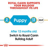 Royal Canin Bulldog Puppy || Royal Canin Breed || view 5