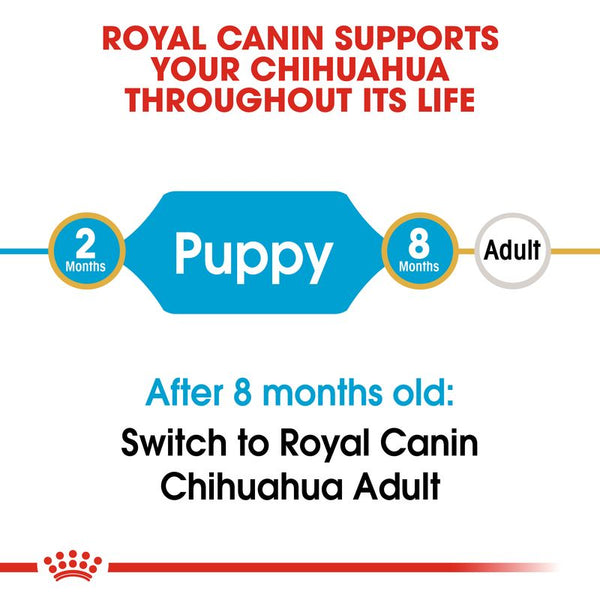 Royal Canin Chihuahua Puppy || Royal Canin Breed || view 8