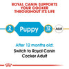 Royal Canin Cocker Spaniel Puppy || Royal Canin Breed || view 7