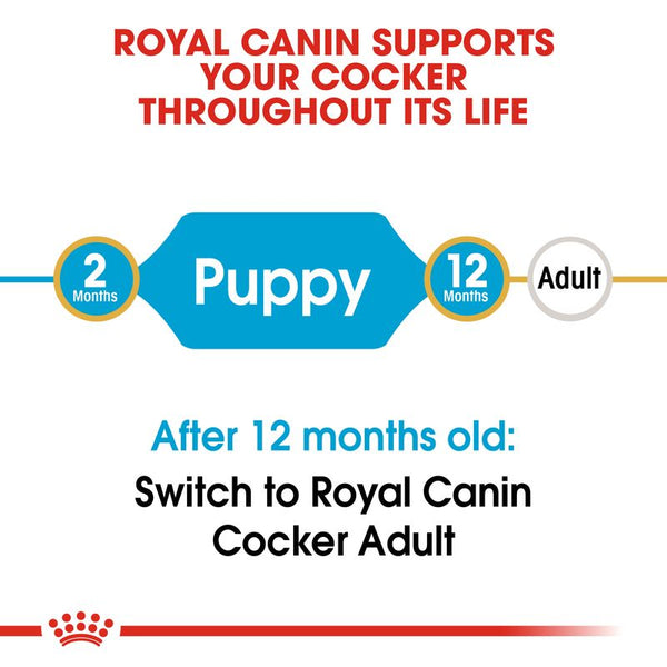 Royal Canin Cocker Spaniel Puppy || Royal Canin Breed || view 7