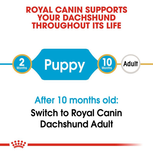 Royal Canin Dachshund Puppy || Royal Canin Breed || view 6