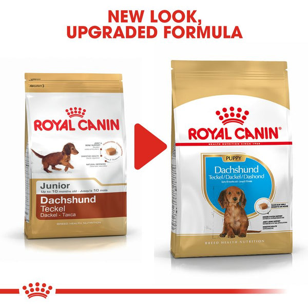 Royal Canin Dachshund Puppy || Royal Canin Breed || view 7