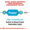 Royal Canin Dalmatian Puppy || Royal Canin Breed || view 4