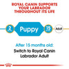 Royal Canin Labrador Retriever Puppy || Royal Canin Breed || view 4