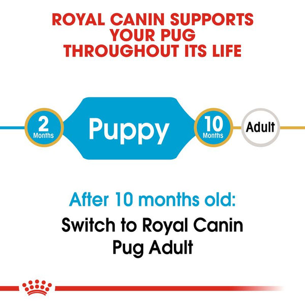 Royal Canin Pug Puppy || Royal Canin Breed || view 4