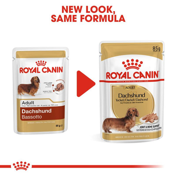 Royal Canin Dachshund Loaf || Royal Canin Breed || view 6