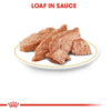 Royal Canin Yorkshire Terrier Adult Loaf || Royal Canin Breed || view 4