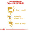 Royal Canin Yorkshire Terrier Adult Loaf || Royal Canin Breed || view 3