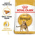 Royal Canin Bengal Adult || Royal Canin Breed || view 1