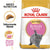 Royal Canin British Shorthair Kitten || undefined || view 1